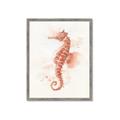 Picture of Coral Seahorse _GroupedProduct_Rectangle_Portrait_Framed_Matted_