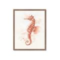 Picture of Coral Seahorse _GroupedProduct_Rectangle_Portrait_Framed_Matted_