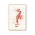 Picture of Coral Seahorse _GroupedProduct_Rectangle_Portrait_Framed_Matted_