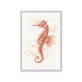 Picture of Coral Seahorse _GroupedProduct_Rectangle_Portrait_Framed_Matted_