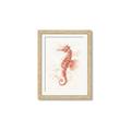 Picture of Coral Seahorse _GroupedProduct_Rectangle_Portrait_Framed_Matted_