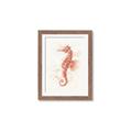 Picture of Coral Seahorse _GroupedProduct_Rectangle_Portrait_Framed_Matted_