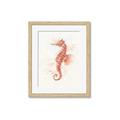 Picture of Coral Seahorse _GroupedProduct_Rectangle_Portrait_Framed_Matted_