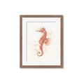Picture of Coral Seahorse _GroupedProduct_Rectangle_Portrait_Framed_Matted_