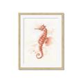 Picture of Coral Seahorse _GroupedProduct_Rectangle_Portrait_Framed_Matted_