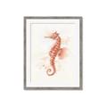 Picture of Coral Seahorse _GroupedProduct_Rectangle_Portrait_Framed_Matted_