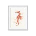 Picture of Coral Seahorse _GroupedProduct_Rectangle_Portrait_Framed_Matted_