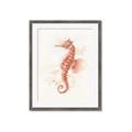 Picture of Coral Seahorse _GroupedProduct_Rectangle_Portrait_Framed_Matted_