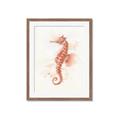 Picture of Coral Seahorse _GroupedProduct_Rectangle_Portrait_Framed_Matted_