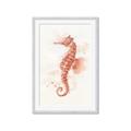 Picture of Coral Seahorse _GroupedProduct_Rectangle_Portrait_Framed_Matted_