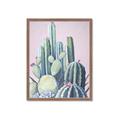 Picture of Pink Cactus _GroupedProduct_Rectangle_Portrait_Framed_Matted_