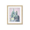 Picture of Pink Cactus _GroupedProduct_Rectangle_Portrait_Framed_Matted_