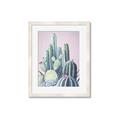 Picture of Pink Cactus _GroupedProduct_Rectangle_Portrait_Framed_Matted_