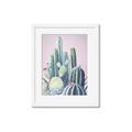 Picture of Pink Cactus _GroupedProduct_Rectangle_Portrait_Framed_Matted_