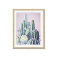 Picture of Pink Cactus _GroupedProduct_Rectangle_Portrait_Framed_Matted_