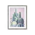 Picture of Pink Cactus _GroupedProduct_Rectangle_Portrait_Framed_Matted_