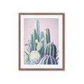 Picture of Pink Cactus _GroupedProduct_Rectangle_Portrait_Framed_Matted_