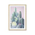 Picture of Pink Cactus _GroupedProduct_Rectangle_Portrait_Framed_Matted_