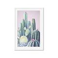 Picture of Pink Cactus _GroupedProduct_Rectangle_Portrait_Framed_Matted_