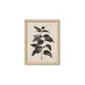 Picture of Black Linen Leaves II _GroupedProduct_Rectangle_Portrait_Framed_Matted_