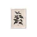 Picture of Black Linen Leaves II _GroupedProduct_Rectangle_Portrait_Framed_Matted_