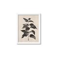 Picture of Black Linen Leaves II _GroupedProduct_Rectangle_Portrait_Framed_Matted_