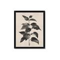 Picture of Black Linen Leaves II _GroupedProduct_Rectangle_Portrait_Framed_Matted_