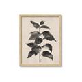 Picture of Black Linen Leaves II _GroupedProduct_Rectangle_Portrait_Framed_Matted_
