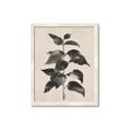 Picture of Black Linen Leaves II _GroupedProduct_Rectangle_Portrait_Framed_Matted_