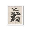 Picture of Black Linen Leaves II _GroupedProduct_Rectangle_Portrait_Framed_Matted_