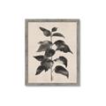 Picture of Black Linen Leaves II _GroupedProduct_Rectangle_Portrait_Framed_Matted_