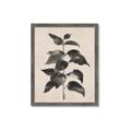 Picture of Black Linen Leaves II _GroupedProduct_Rectangle_Portrait_Framed_Matted_