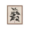 Picture of Black Linen Leaves II _GroupedProduct_Rectangle_Portrait_Framed_Matted_
