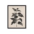 Picture of Black Linen Leaves II _GroupedProduct_Rectangle_Portrait_Framed_Matted_