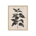Picture of Black Linen Leaves II _GroupedProduct_Rectangle_Portrait_Framed_Matted_