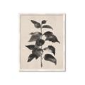 Picture of Black Linen Leaves II _GroupedProduct_Rectangle_Portrait_Framed_Matted_