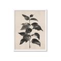 Picture of Black Linen Leaves II _GroupedProduct_Rectangle_Portrait_Framed_Matted_