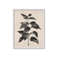 Picture of Black Linen Leaves II _GroupedProduct_Rectangle_Portrait_Framed_Matted_