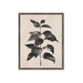 Picture of Black Linen Leaves II _GroupedProduct_Rectangle_Portrait_Framed_Matted_