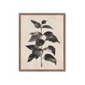 Picture of Black Linen Leaves II _GroupedProduct_Rectangle_Portrait_Framed_Matted_