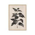 Picture of Black Linen Leaves II _GroupedProduct_Rectangle_Portrait_Framed_Matted_