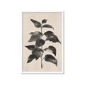 Picture of Black Linen Leaves II _GroupedProduct_Rectangle_Portrait_Framed_Matted_