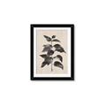 Picture of Black Linen Leaves II _GroupedProduct_Rectangle_Portrait_Framed_Matted_