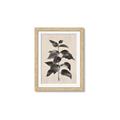 Picture of Black Linen Leaves II _GroupedProduct_Rectangle_Portrait_Framed_Matted_