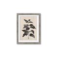 Picture of Black Linen Leaves II _GroupedProduct_Rectangle_Portrait_Framed_Matted_
