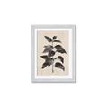Picture of Black Linen Leaves II _GroupedProduct_Rectangle_Portrait_Framed_Matted_