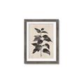 Picture of Black Linen Leaves II _GroupedProduct_Rectangle_Portrait_Framed_Matted_