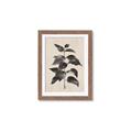 Picture of Black Linen Leaves II _GroupedProduct_Rectangle_Portrait_Framed_Matted_