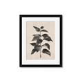 Picture of Black Linen Leaves II _GroupedProduct_Rectangle_Portrait_Framed_Matted_