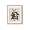 Picture of Black Linen Leaves II _GroupedProduct_Rectangle_Portrait_Framed_Matted_